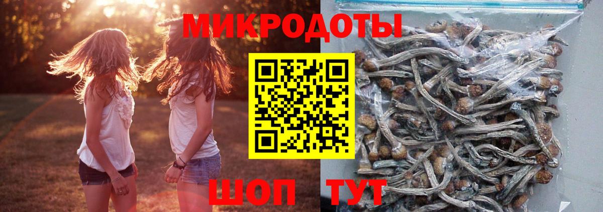 Южноуральск  Галлюциногенные грибы Psilocybine cubensis  Вход с VPN 